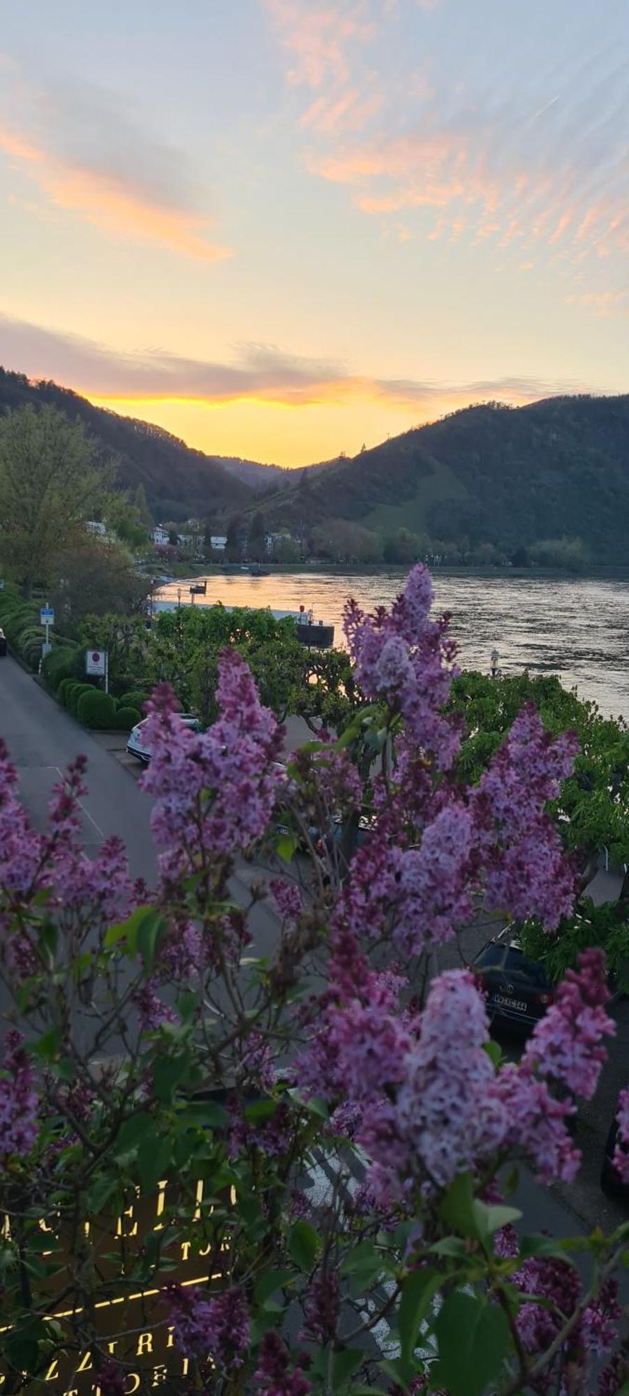 Castello Apartment Boppard Exterior foto